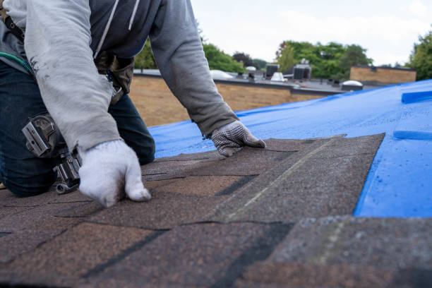Best Roof Repair Services  in Hampton, GA