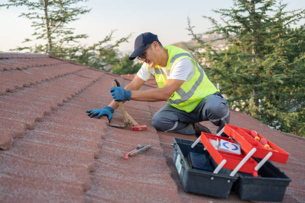 Best Shingle Roofing Installation  in Hampton, GA