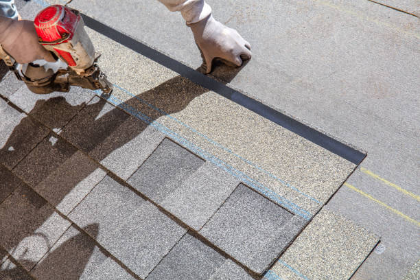 Best Metal Roofing Contractor  in Hampton, GA