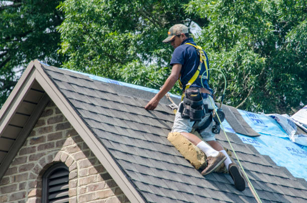 Best Roof Waterproofing Services  in Hampton, GA